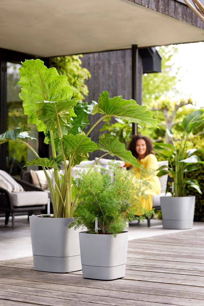 Greensense Aqua Care Vierkant 38