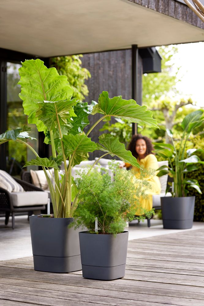 Greensense Aqua Care Vierkant 38