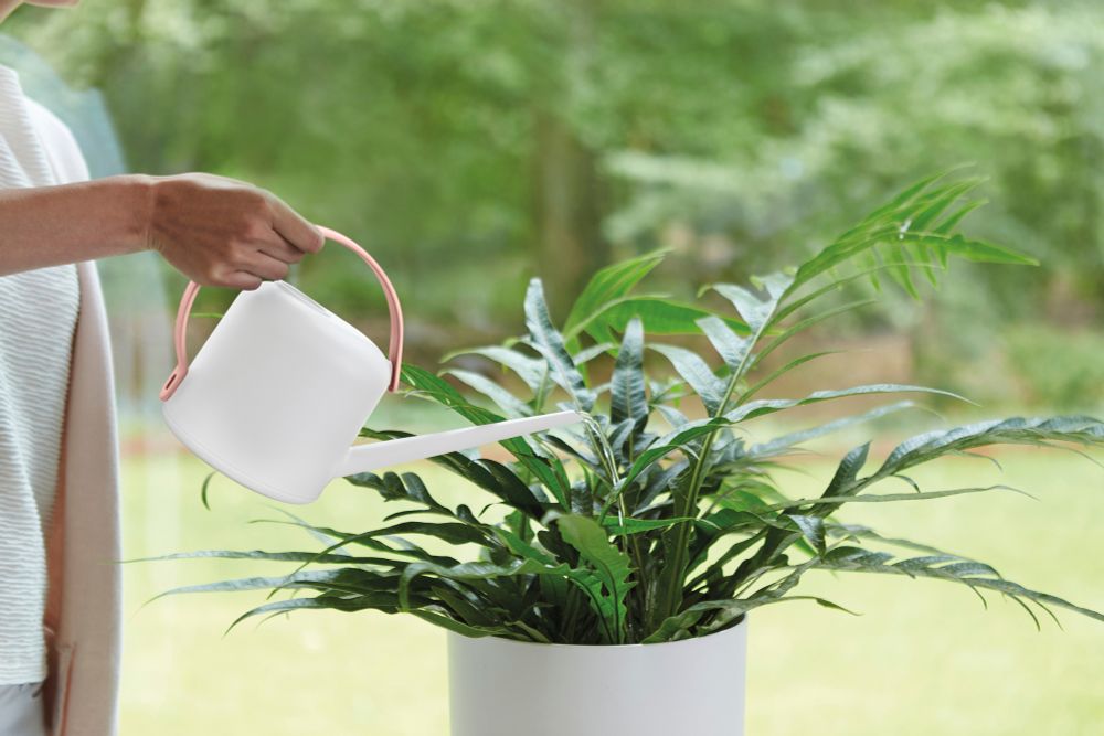 B.for Soft Gieter 1,7ltr