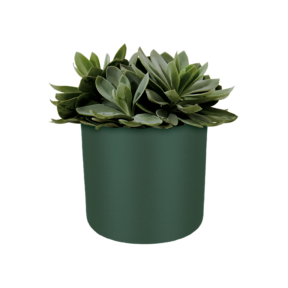 B.for Soft Rond 35