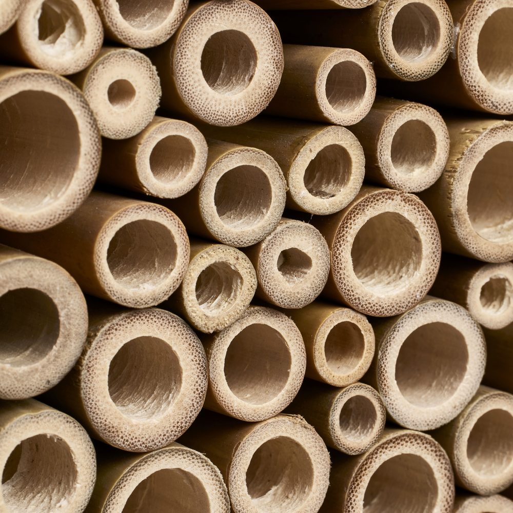 Organic Bee Hotel 25