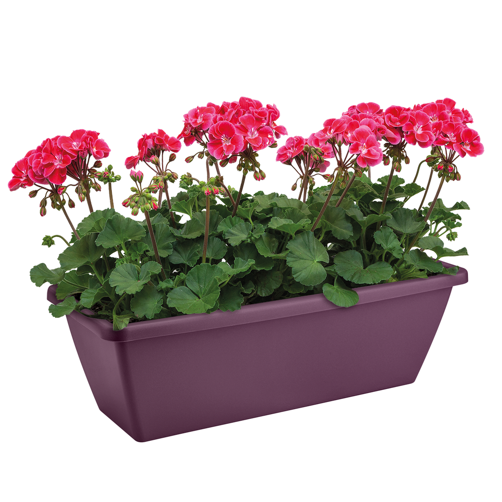 Barcelona Balkonbak 50