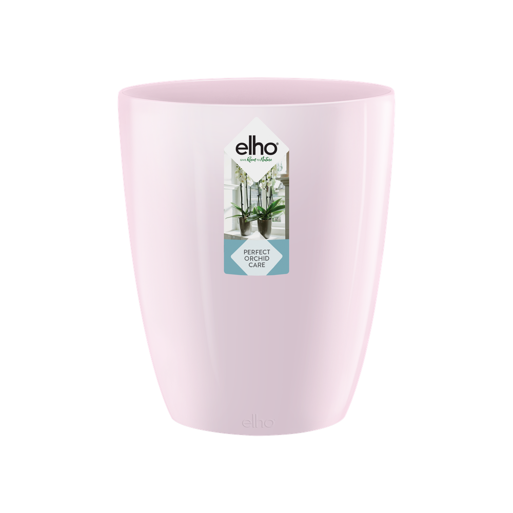 Brussels Diamond Orchidee Hoog 12,5