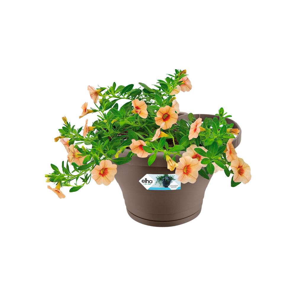 Corsica Regenpijpbakje 24