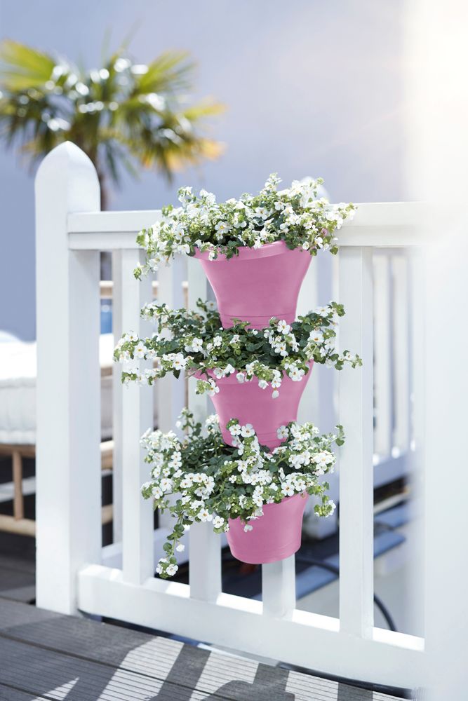 Corsica Vertical Forest 24 Set/3