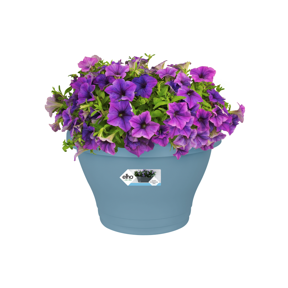 Corsica Wandbak 39
