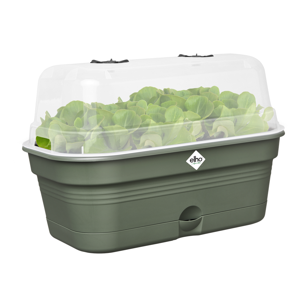 Green Basics Kweektray Allin1 M