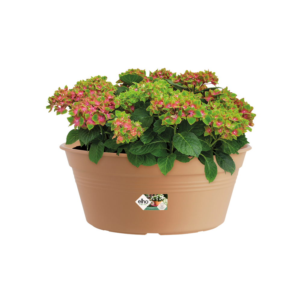 Green Basics Schaal 33