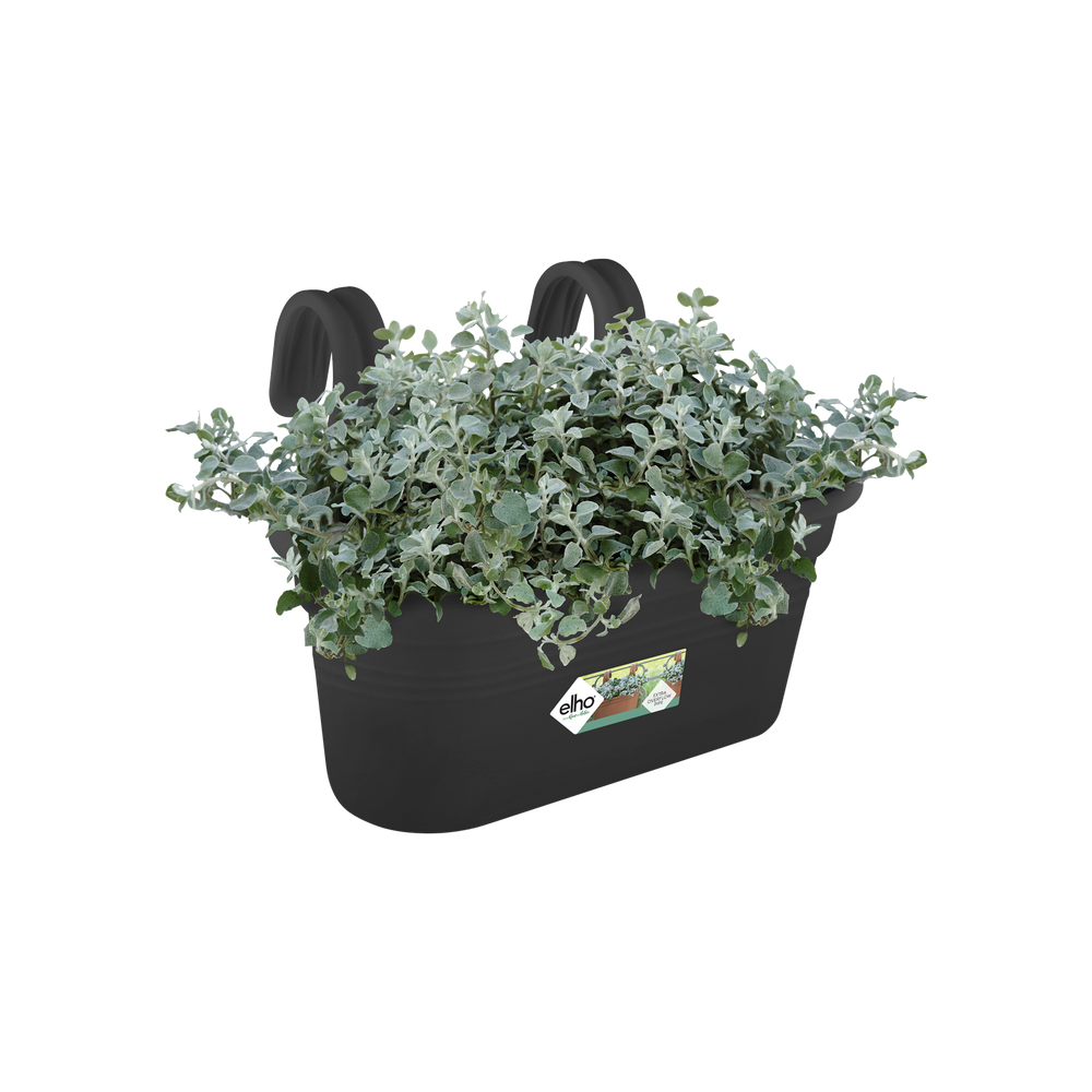 Green Basics Easy Hanger Large