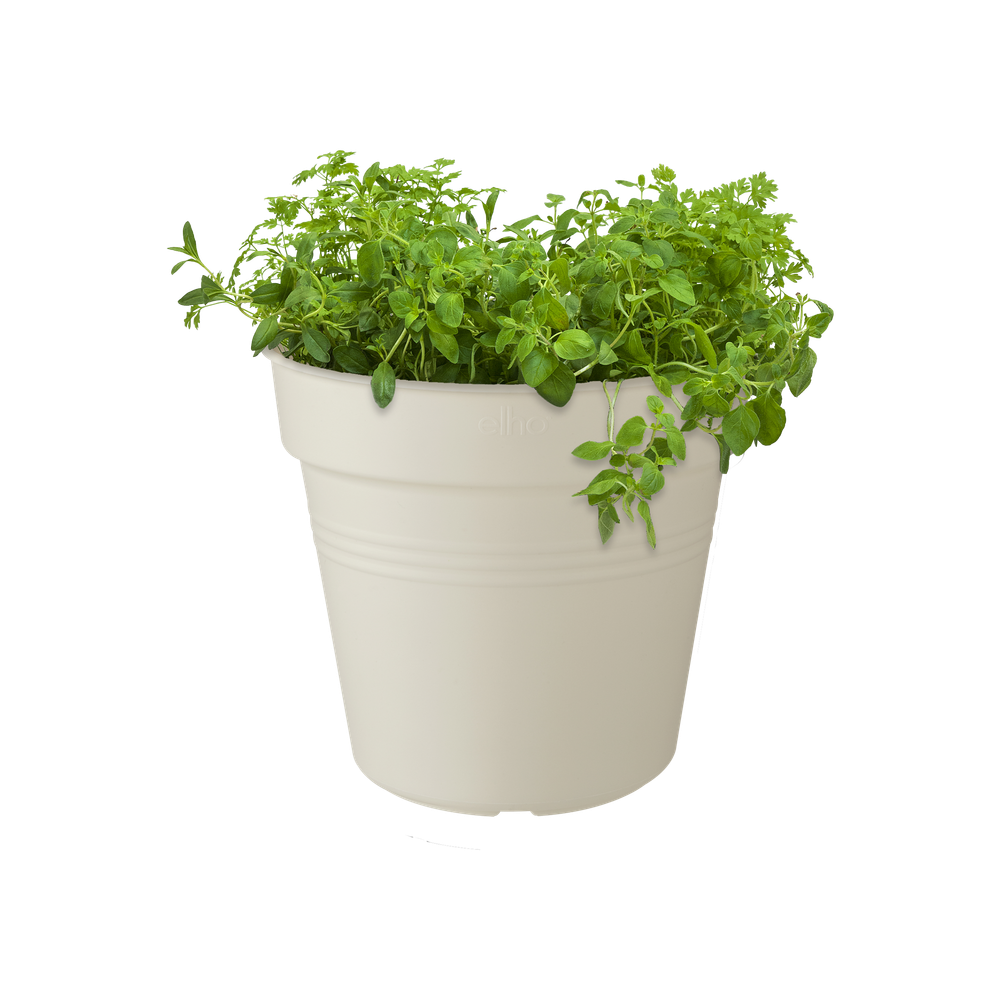 Green Basics Kweekpot 24