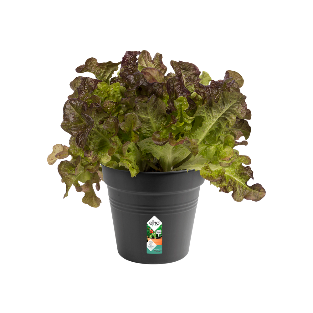 Green Basics Kweekpot 15