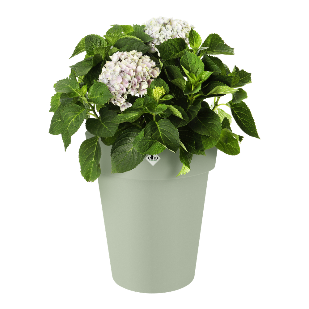 Green Basics Top Planter Hoog 35