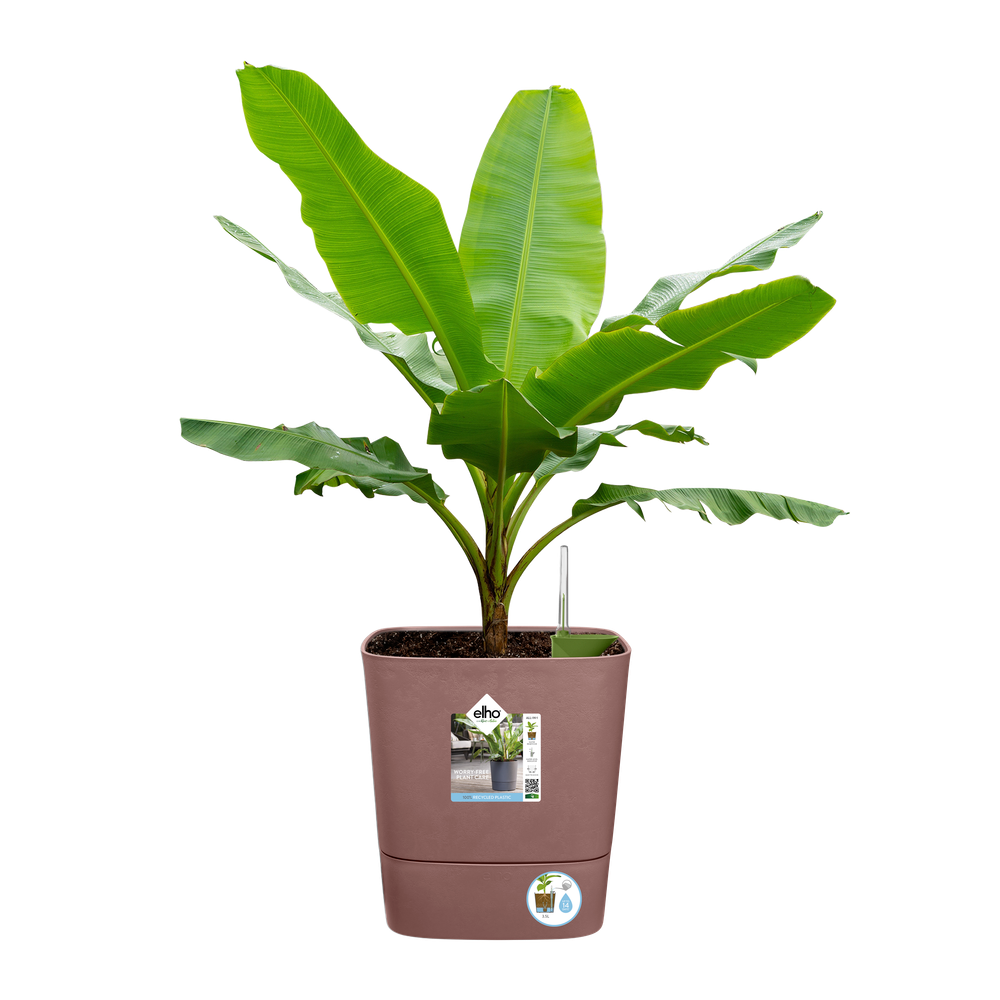 Greensense Aqua Care Vierkant 38