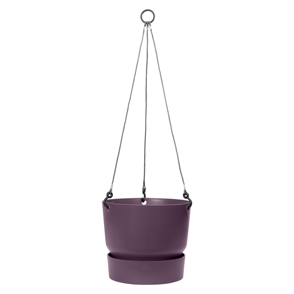 Greenville Hanging Basket 24