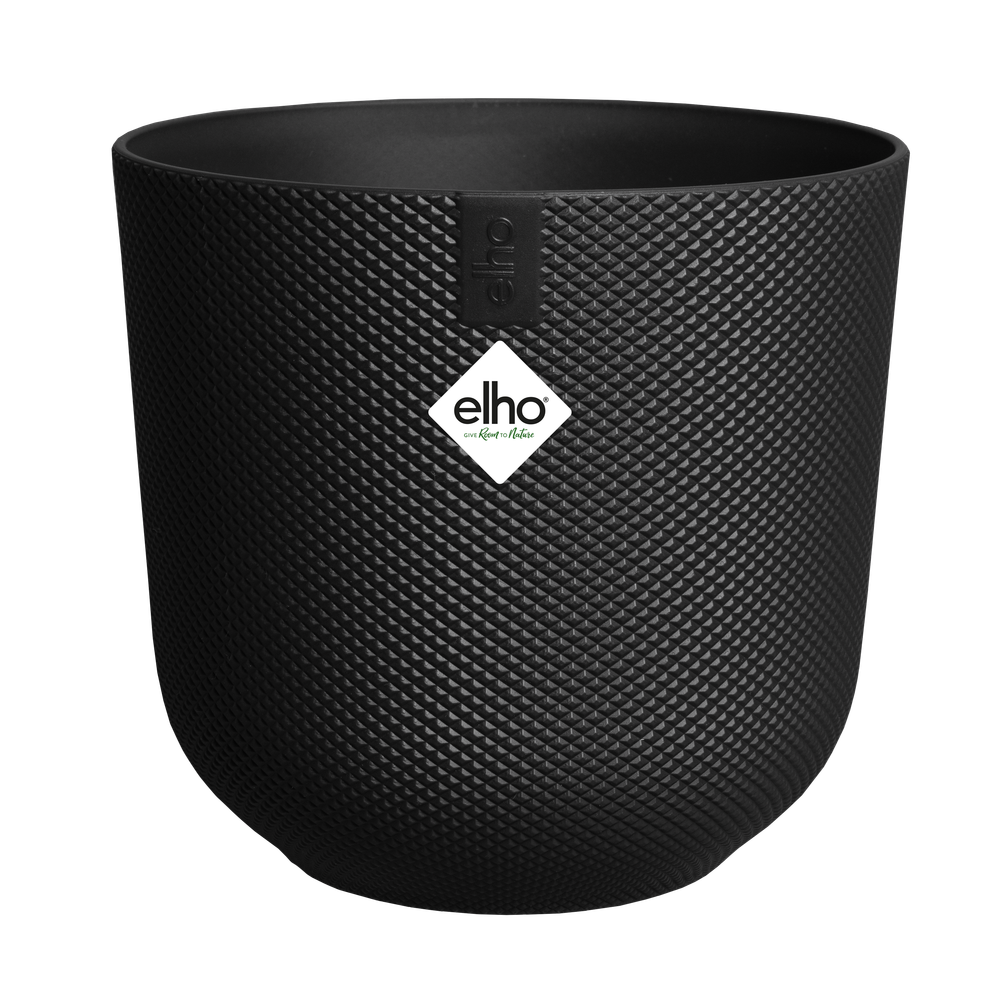 Jazz Rond Mini 7