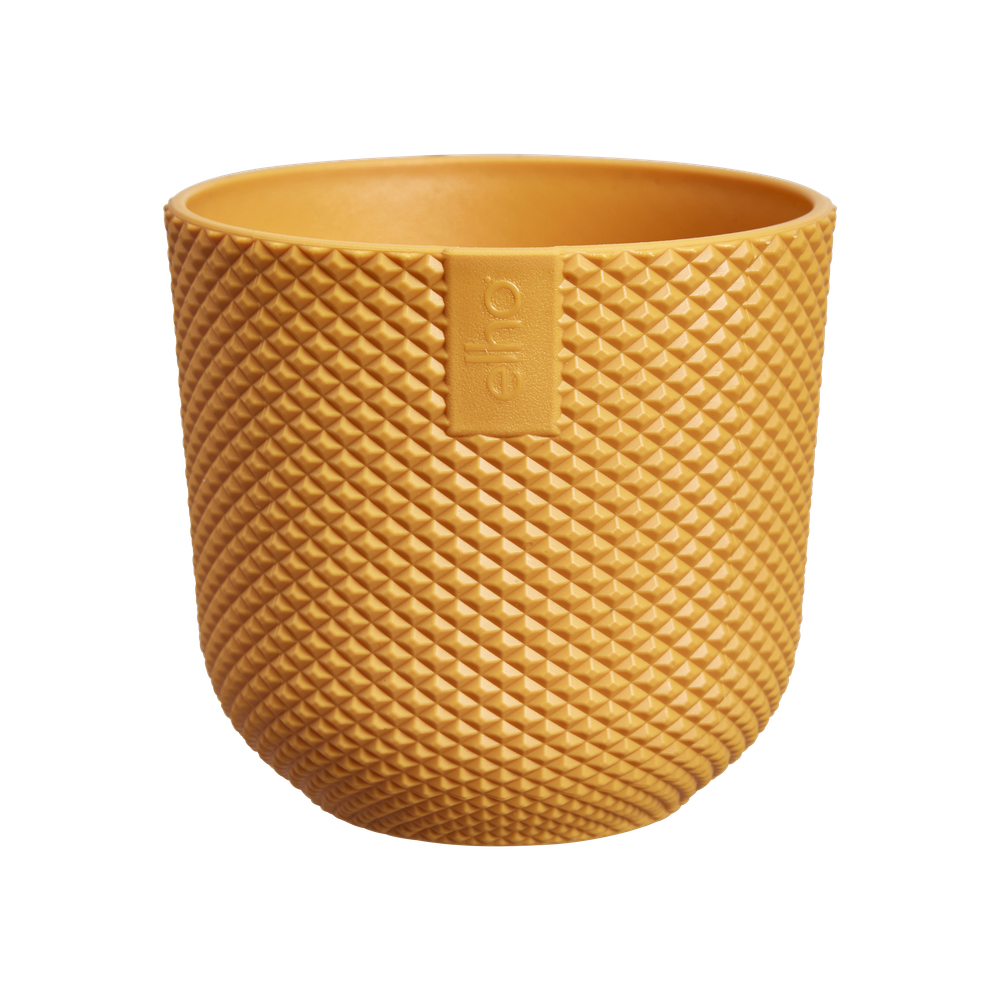 Jazz Rond Mini 7