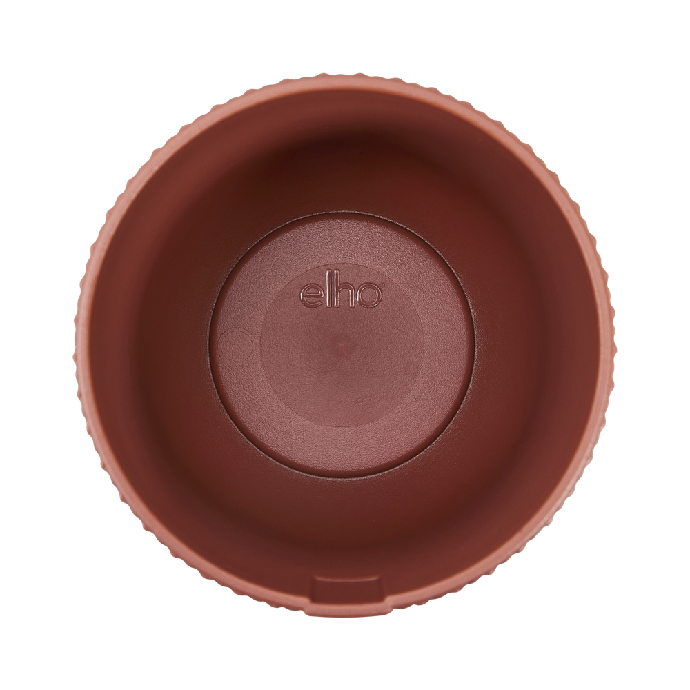 Jazz Rond Mini 7