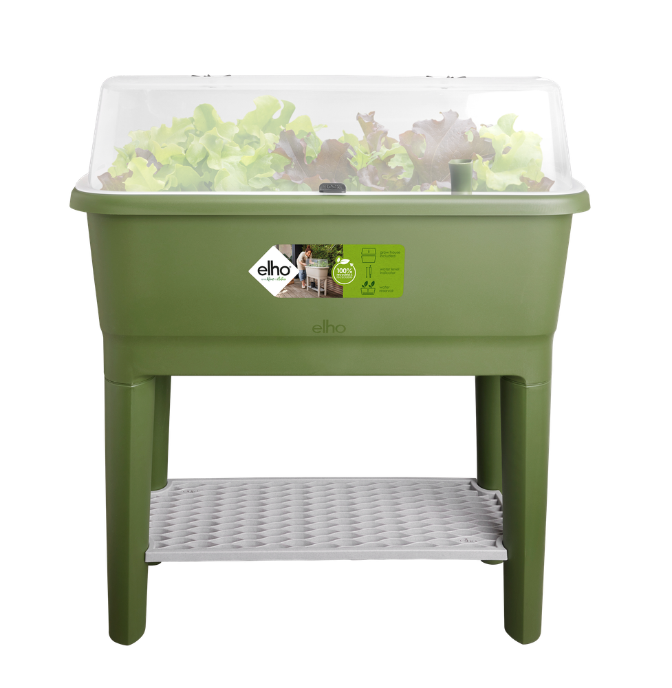Noa Kweektafel