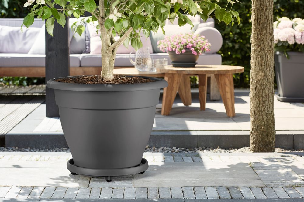 BNDL Universal Planttaxi 30 X2