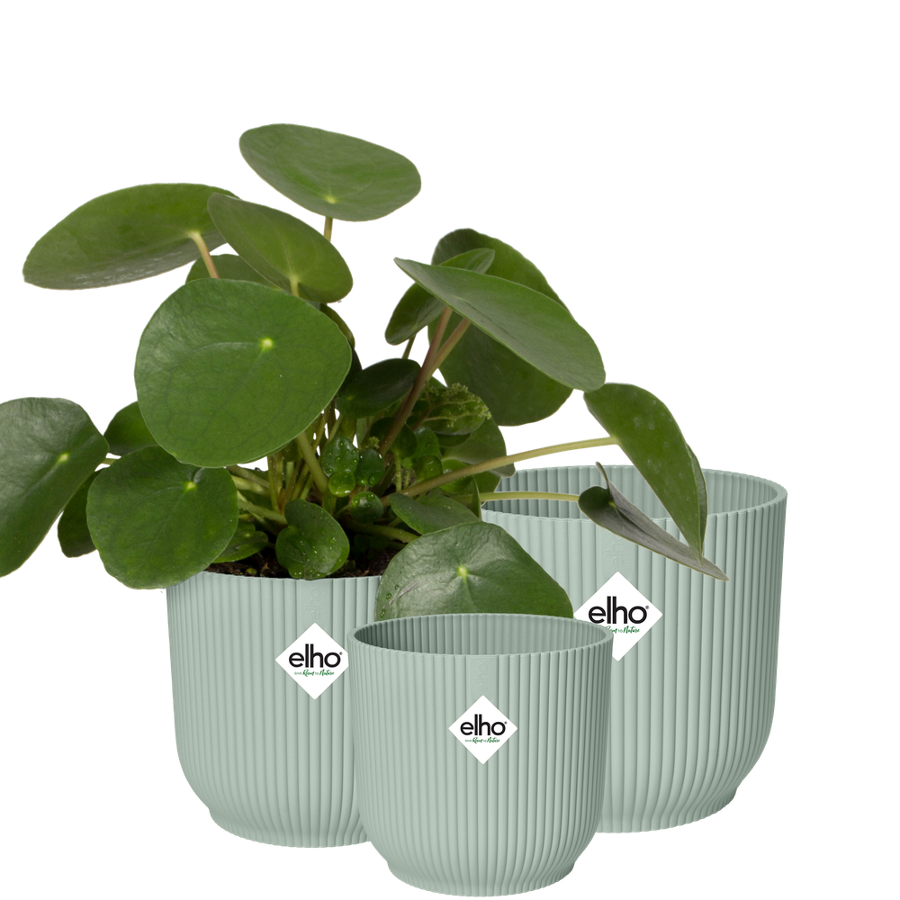 BNDL Vibes Fold Rond 14,16,18
