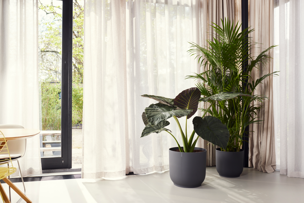 Vibes Fold Rond 47