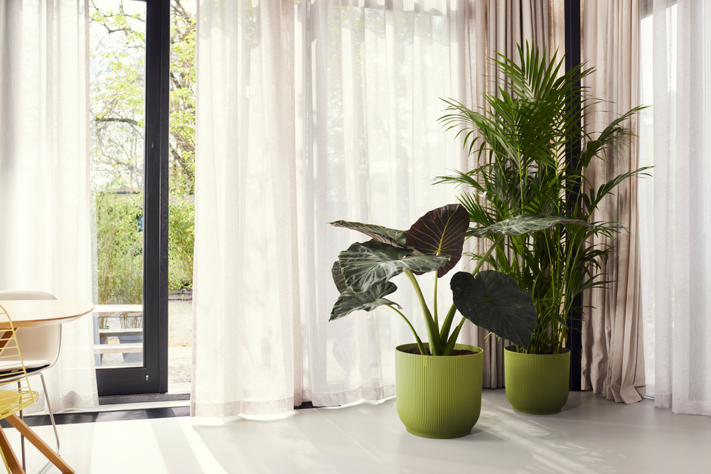 Vibes Fold Rond 47