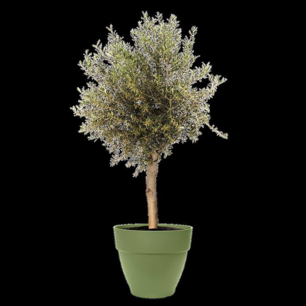 Vibia Campana 65