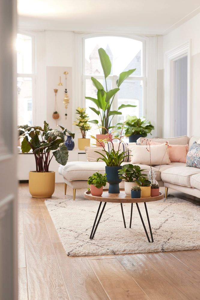 Vibes Fold Rond Wielen 35