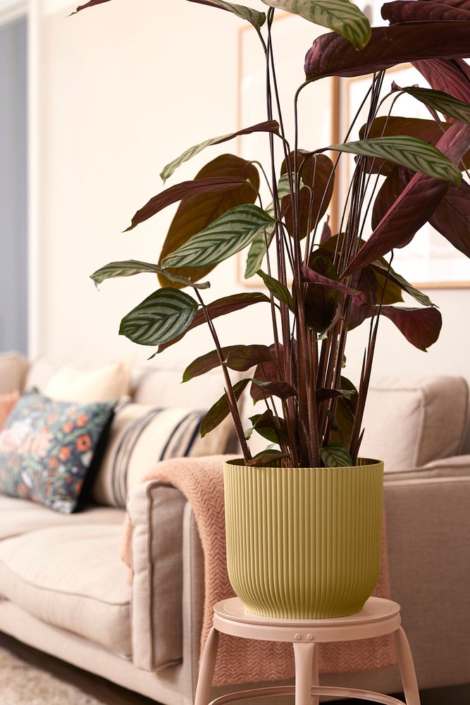 Vibes Fold Rond Wielen 35