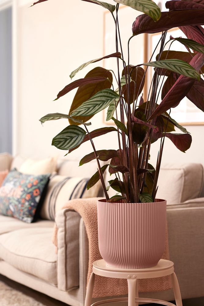 Vibes Fold Rond Wielen 35