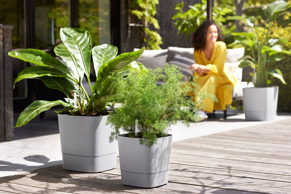 Greensense Aqua Care Vierkant 38