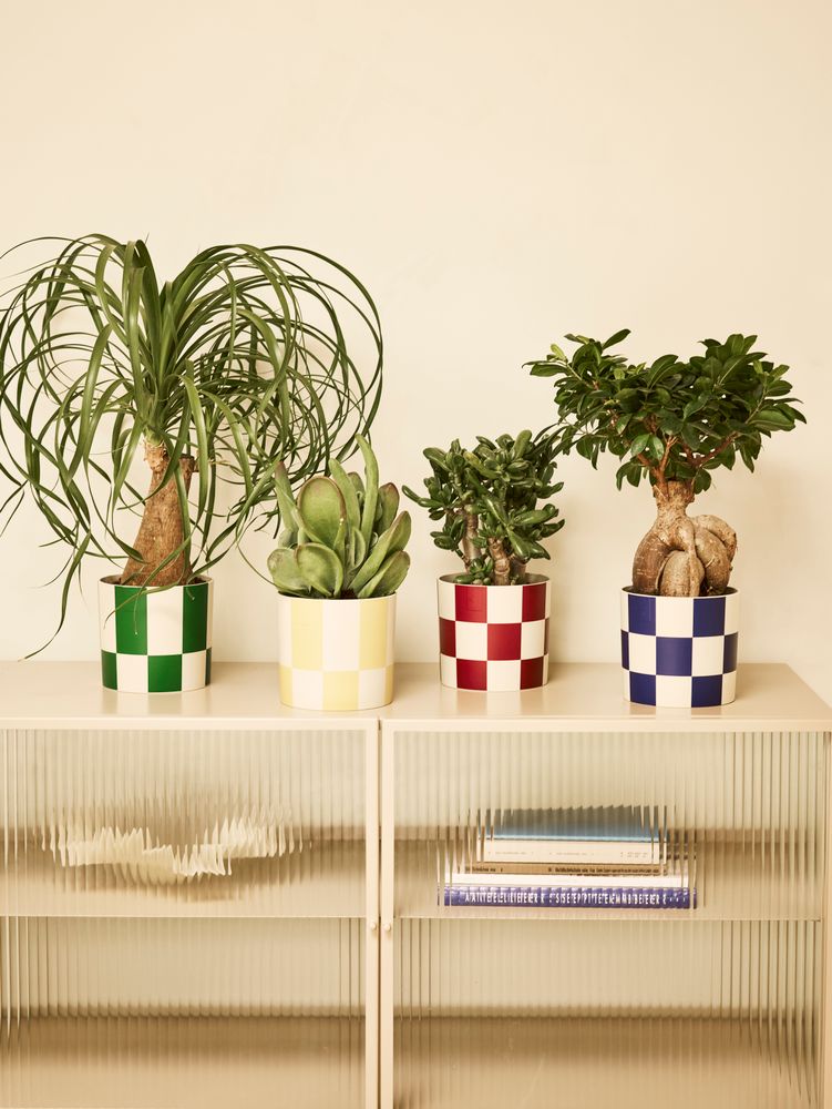 Blocks & Stripes 15
