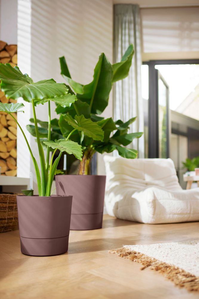 Greensense Aqua Care Rond 43