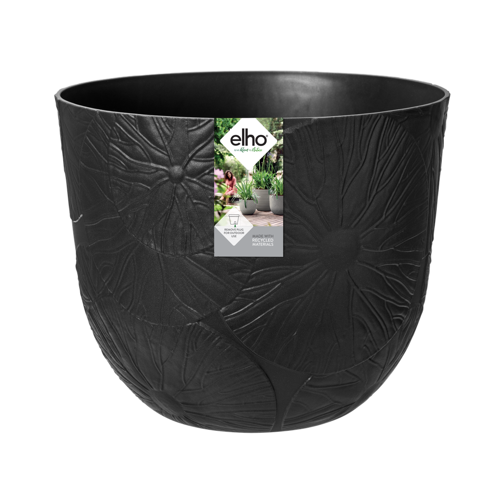 Fuente Lily Rond 47