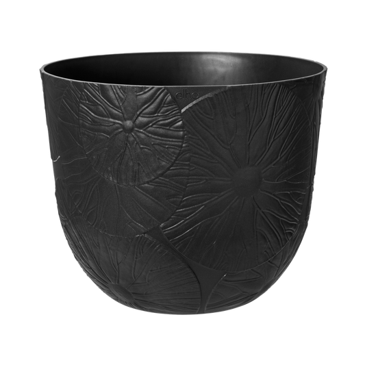 Fuente Lily Rond 30