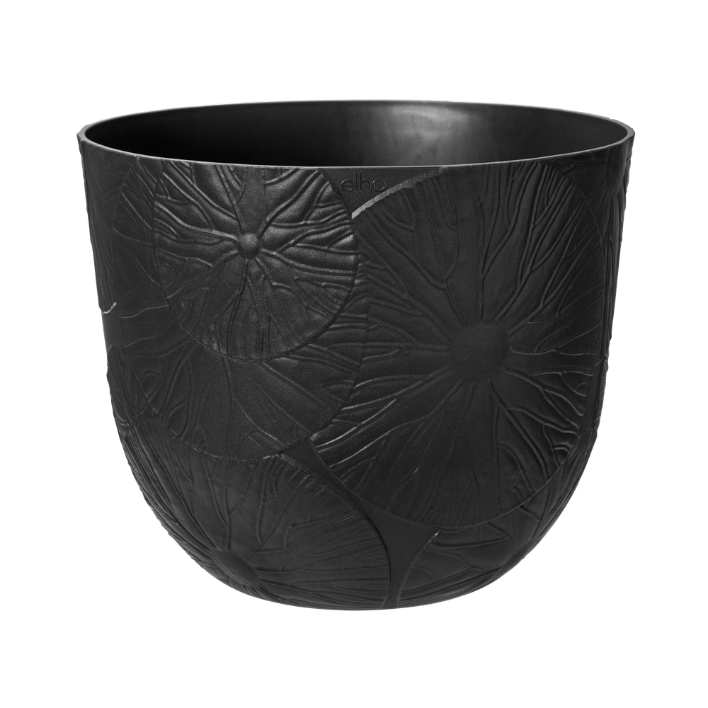 Fuente Lily Rond 38