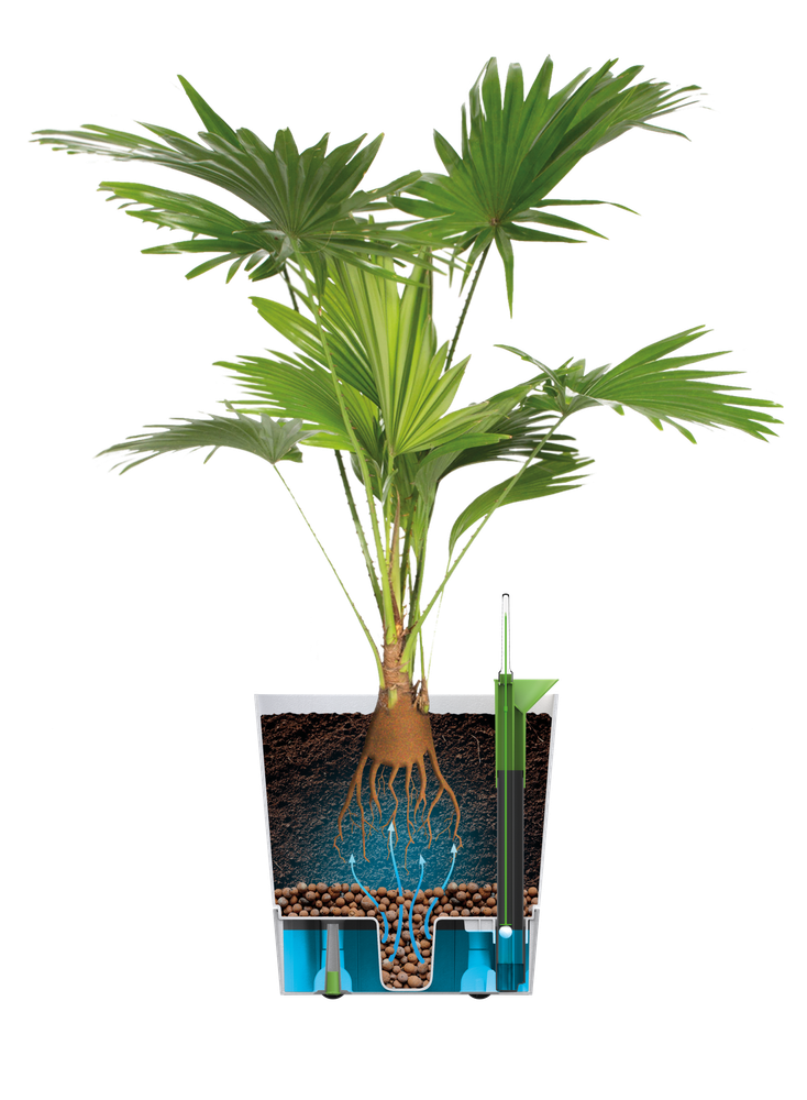 Greensense Aqua Care Vierkant 38