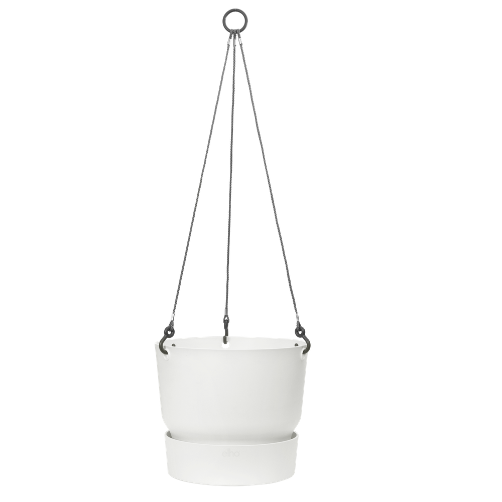 Greenville Hanging Basket 24
