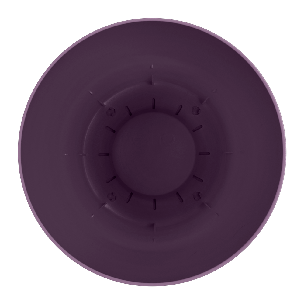Greenville Rond 16