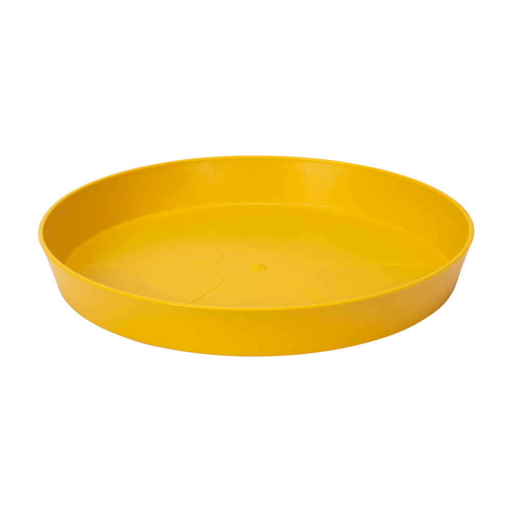 Loft Urban Schotel Rond 24
