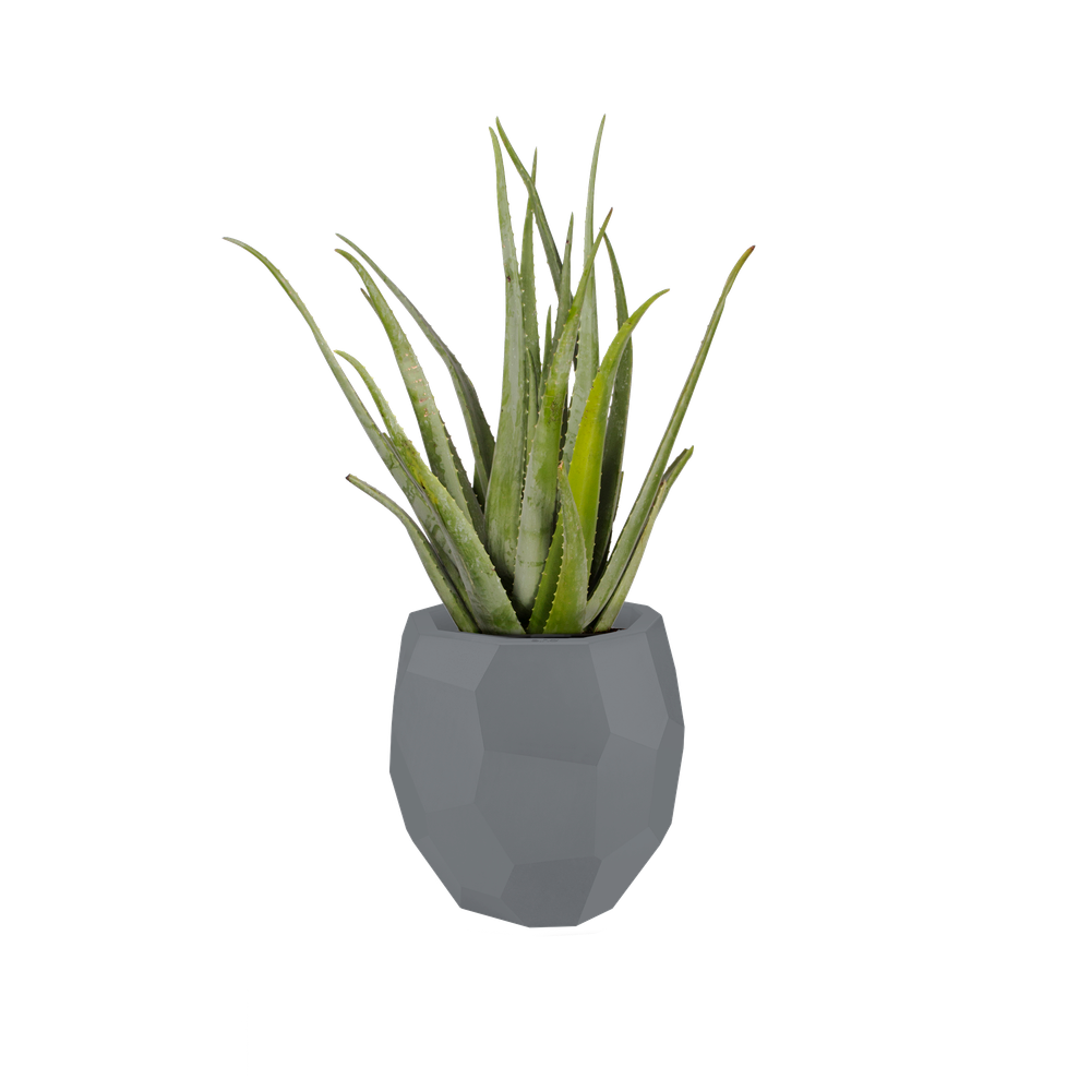 Pure Edge 40
