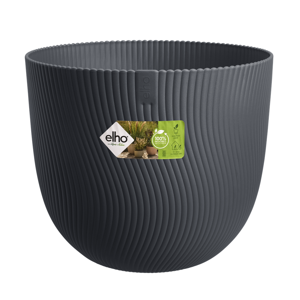 Sereh Rond 40