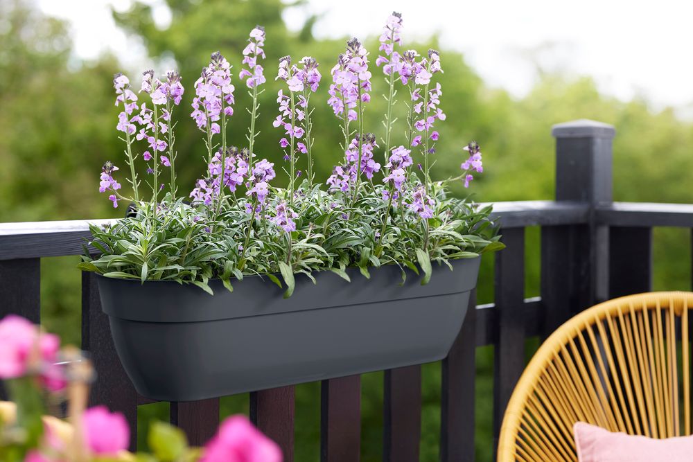 Vibia Campana Easy Hanger XXL 70