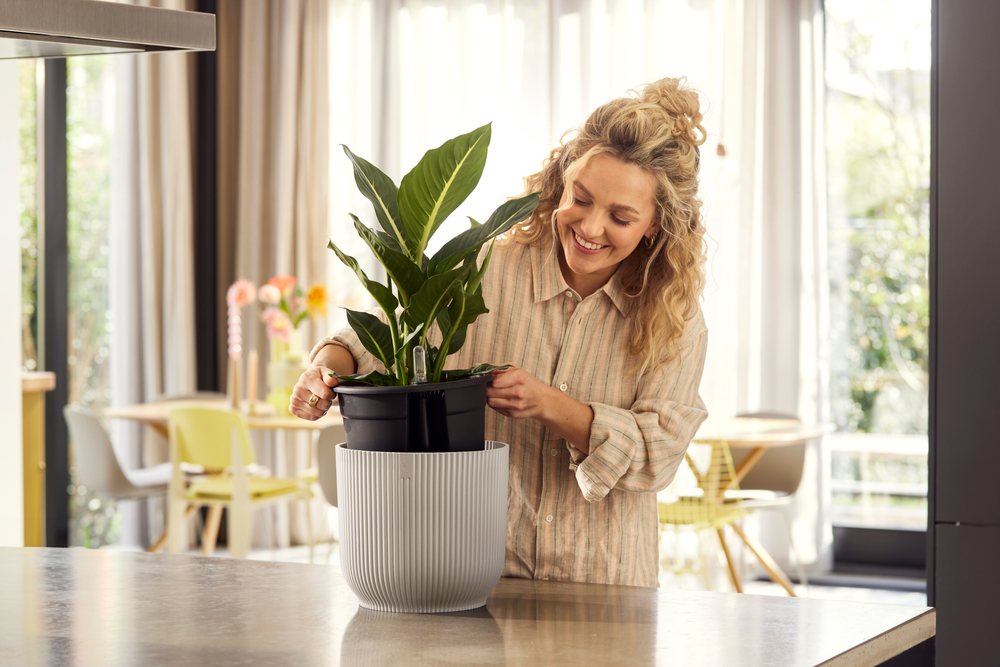 BNDL Vibes Fold Rond 22+swi 21