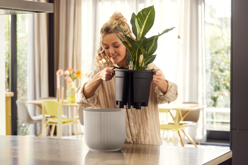 BNDL Vibes Fold Rond 22+swi 21