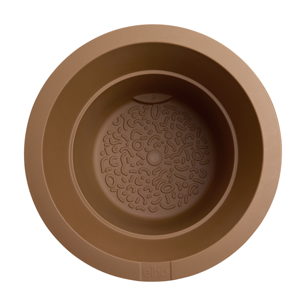 Amber Grail 47