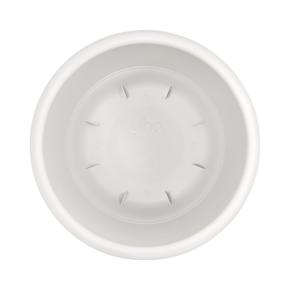 Amiga Rond 47