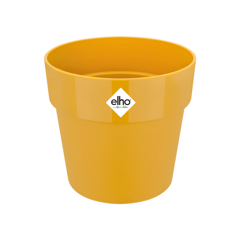 B.for Original Rond 16