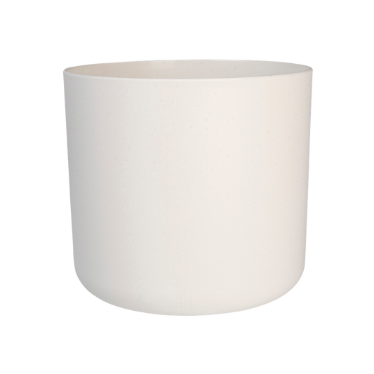 B.for Soft Rond 22