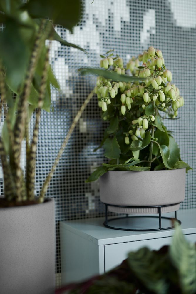 B.for Studio Schaal 30